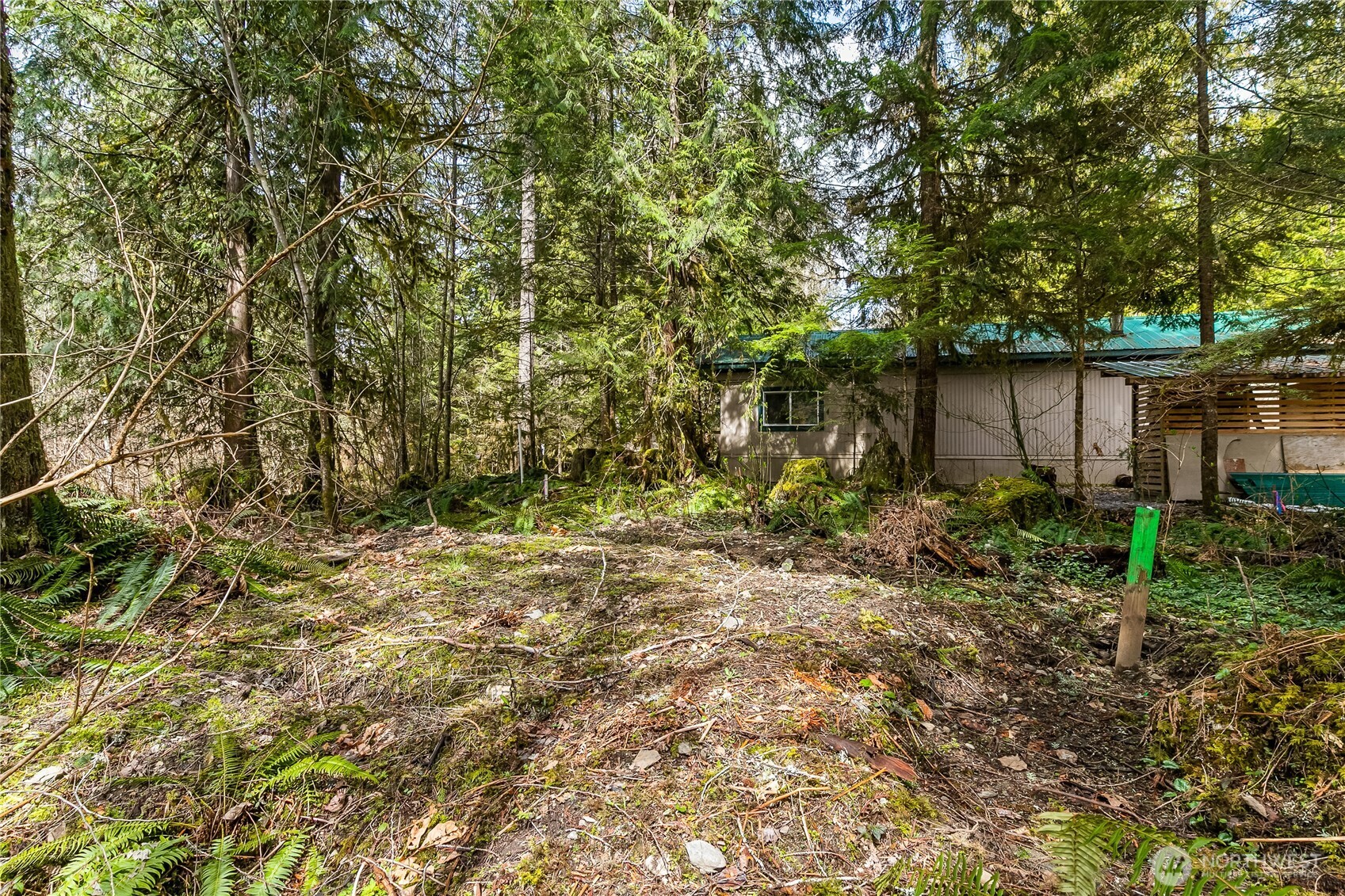 17045 Iceberg Road Glacier, WA 98244 - Photo 5 of 20