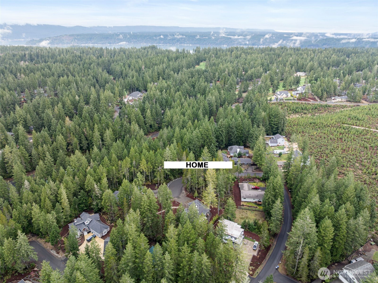 71 East Hemlock Court Union, WA 98592 - Photo 30 of 32 a view of a city with lush green forest