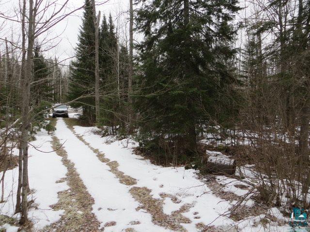 2331 Luthey Road Cook, MN 55723 - Photo 2 of 14