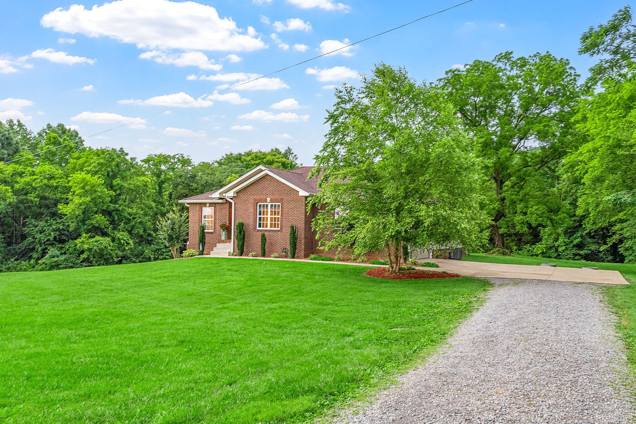 2625 Ford Road Adams, TN 37010 - Photo 4 of 34 a view of a big yard with plants and large trees