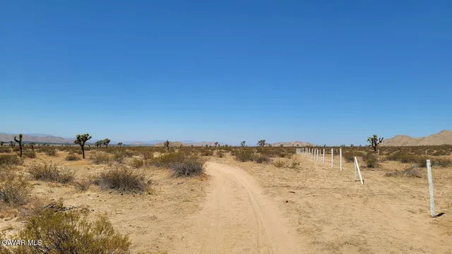 a view of beach and ocean