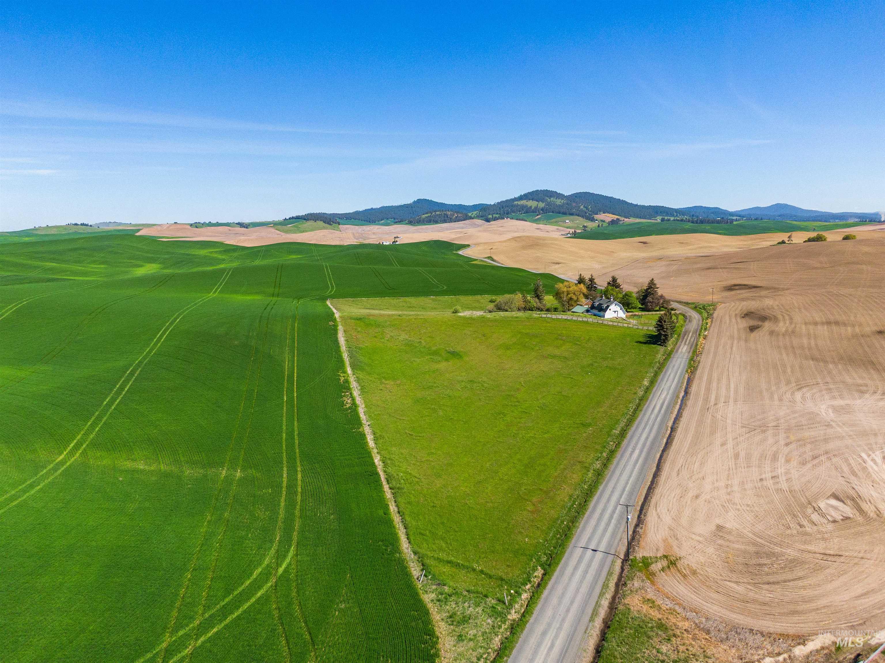 1405 Duffield Flat Road Potlatch, ID 83855 - Photo 47 of 50