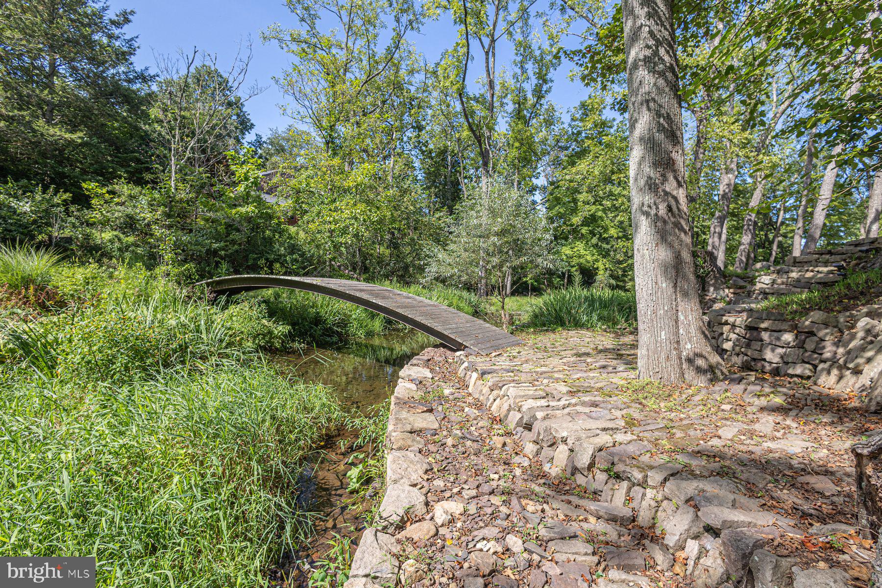 5925 Carversville Road Doylestown, PA 18902 - Photo 29 of 44 a view of a yard with plants and large trees