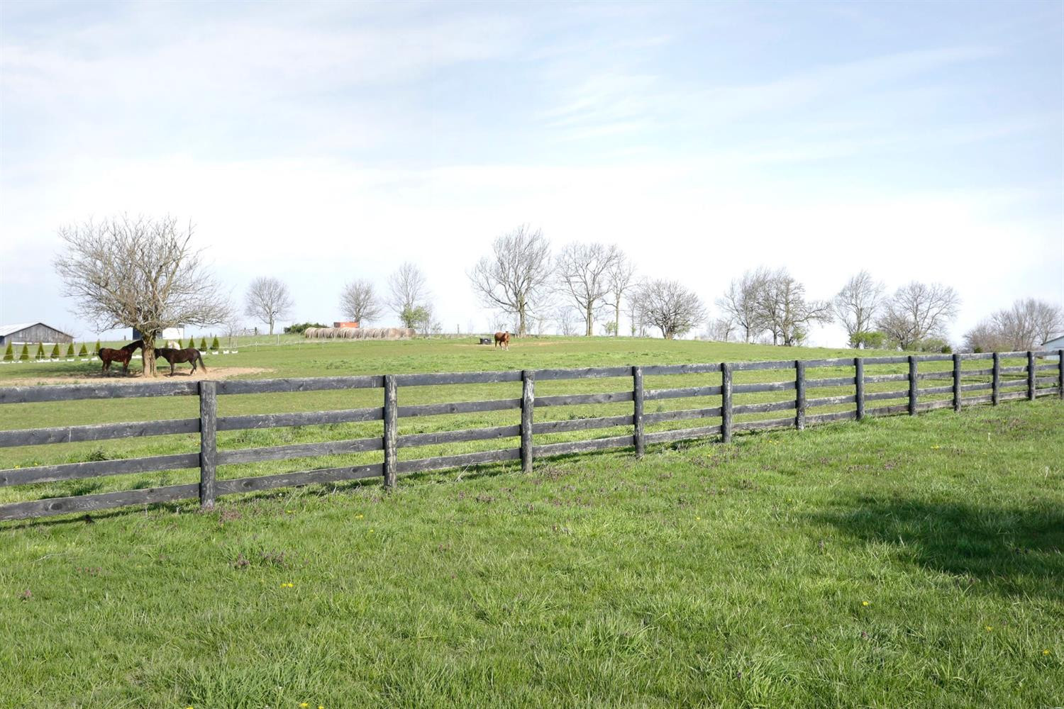 2059 Union Mill Road Nicholasville, KY 40356 - Photo 27 of 32 Photo 28