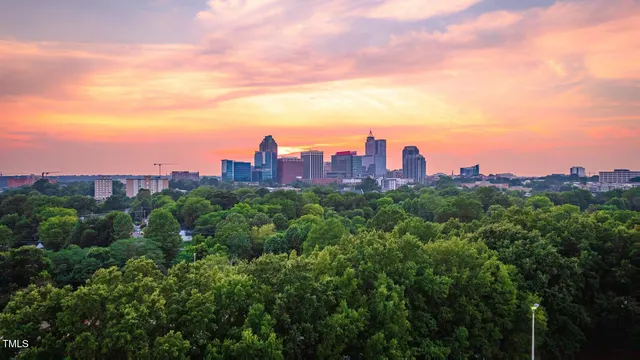 $2,995 | 1103 Alfonso Lane, Unit DTE2, Durham, NC 27703