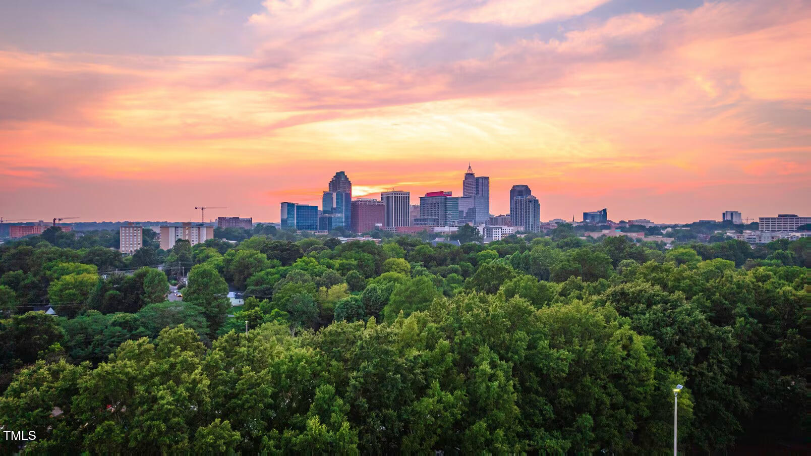 1103 Alfonso Lane, Unit DTE2 Durham, NC 27703 - Photo 2 of 15 image (3)
