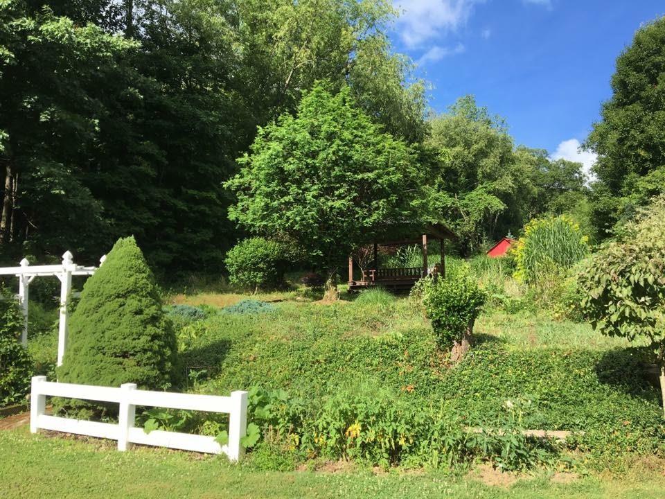 4314 Hollow Road New Castle, PA 16101 - Photo 3 of 18 Back yard