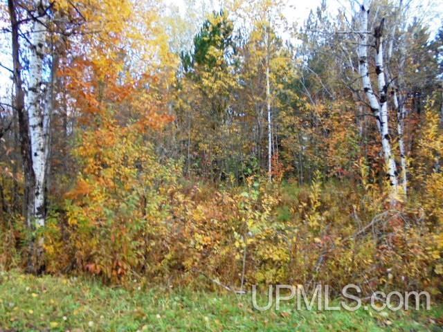 Tbd L P Walsh Road Ontonagon, MI 49953 - Photo 8 of 13