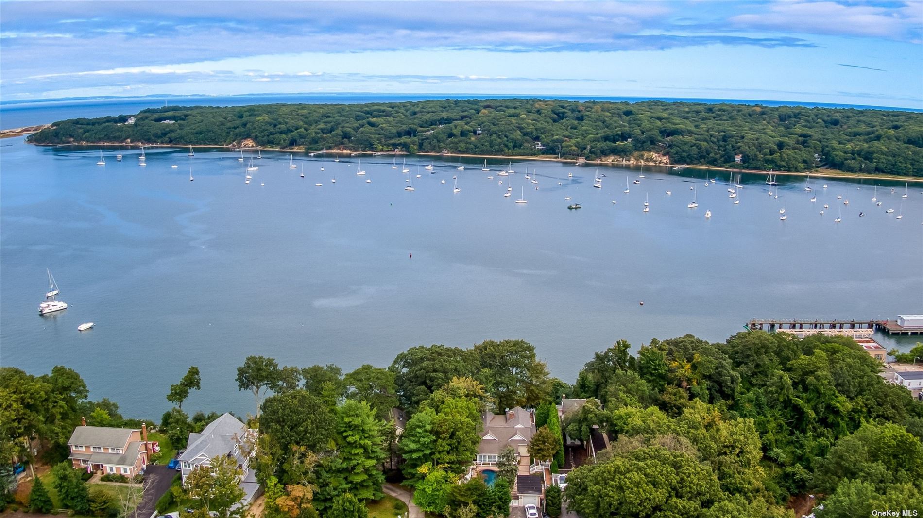 9 Chestnut Avenue Setauket, NY 11733 - Photo 1 of 1 an aerial view of a house with a yard and lake view