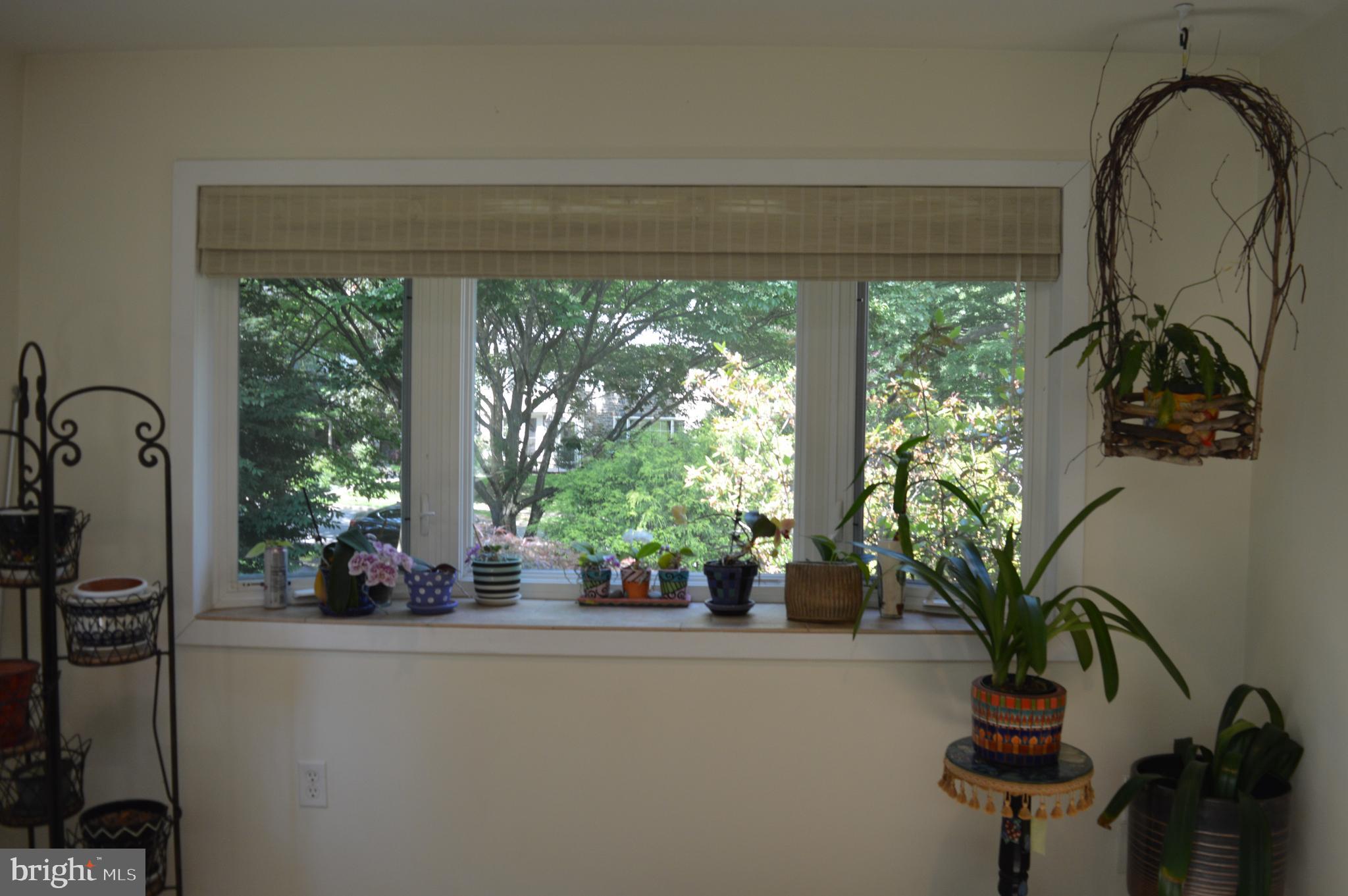 250 Hamilton Road Merion Station, PA 19066 - Photo 11 of 32 and space for plants