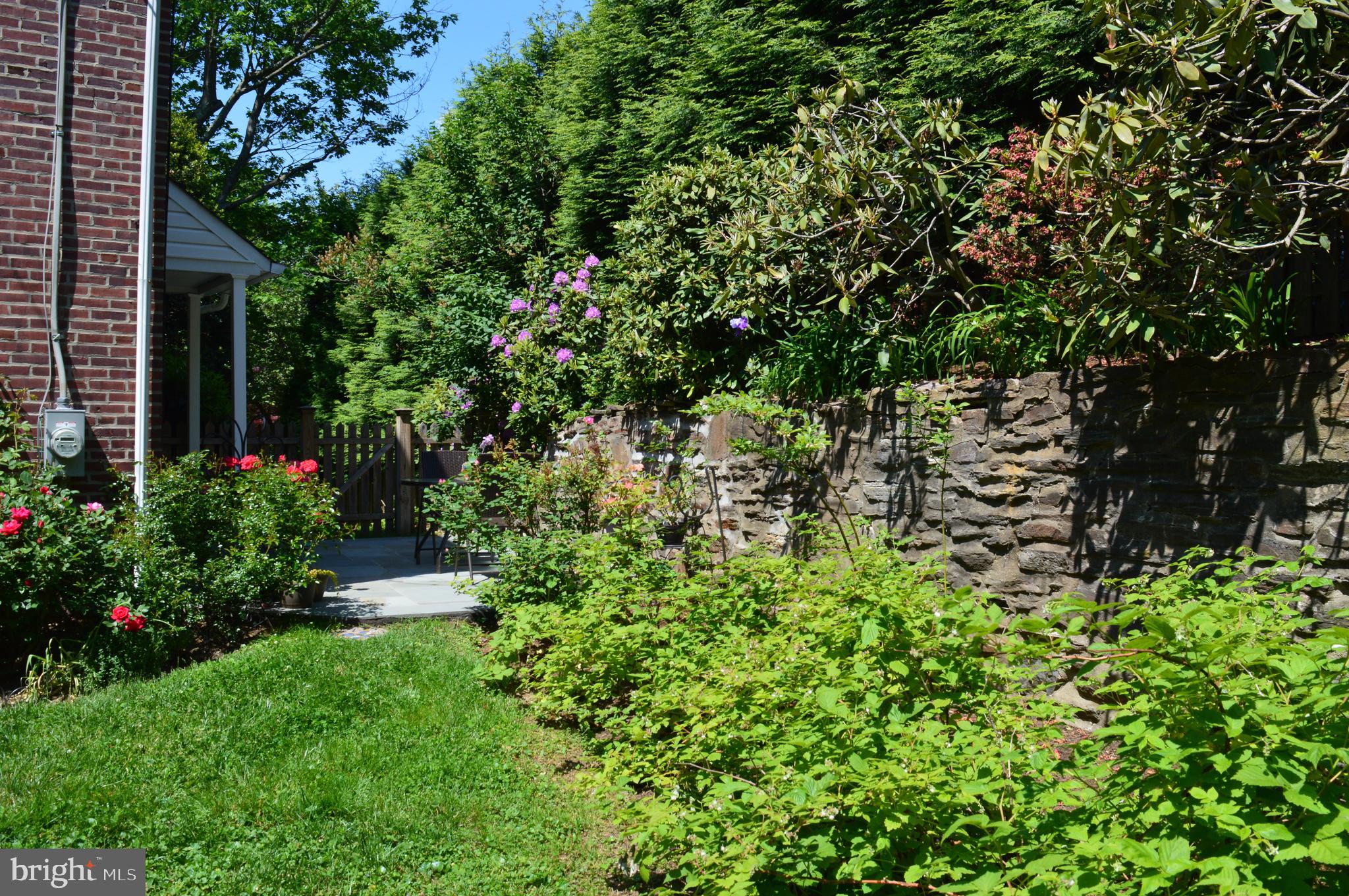 250 Hamilton Road Merion Station, PA 19066 - Photo 26 of 32 Beautiful landscaping, blooming shrubs