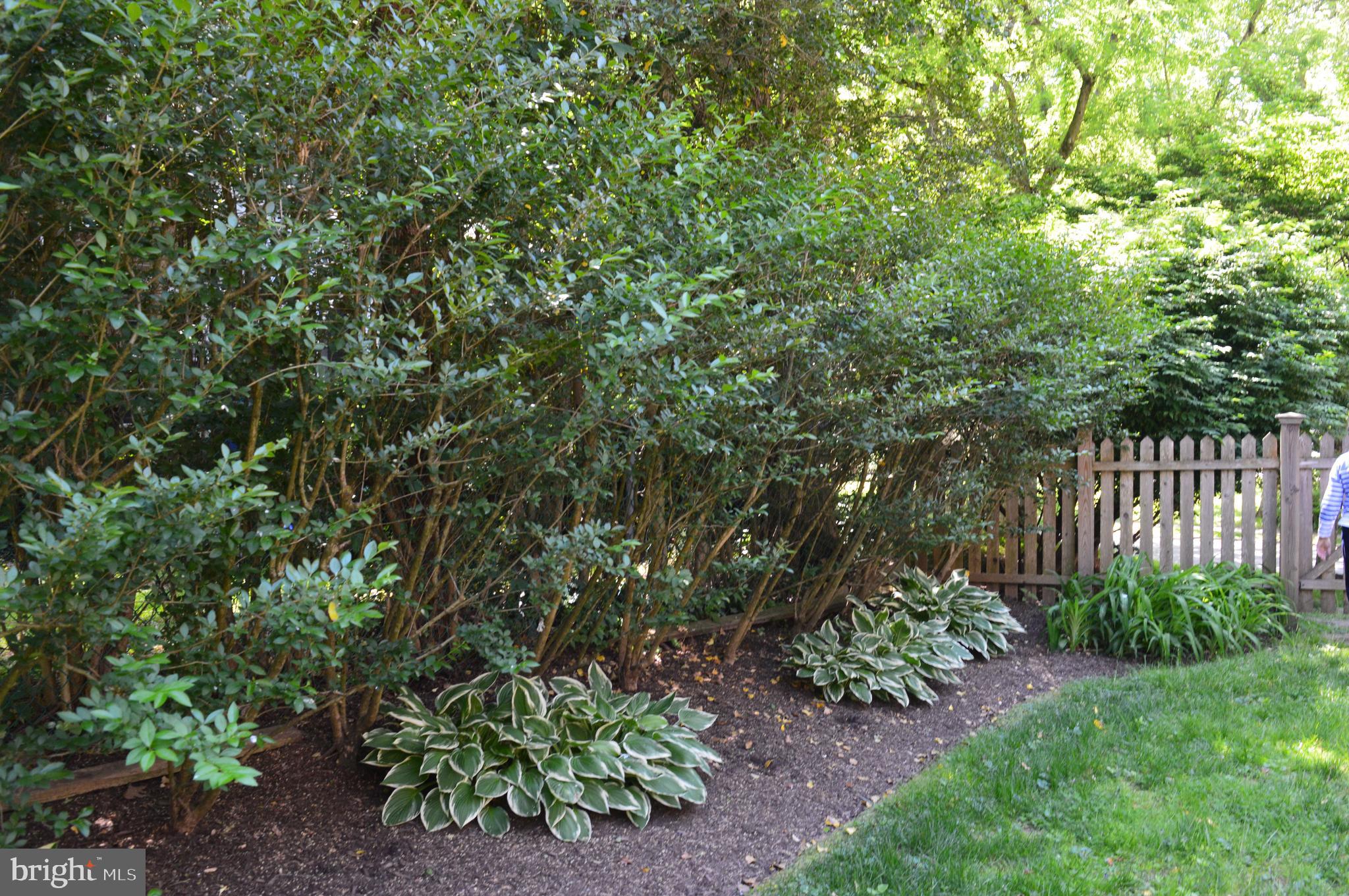 250 Hamilton Road Merion Station, PA 19066 - Photo 27 of 32 Sun and shade - grow veggies and hosta!