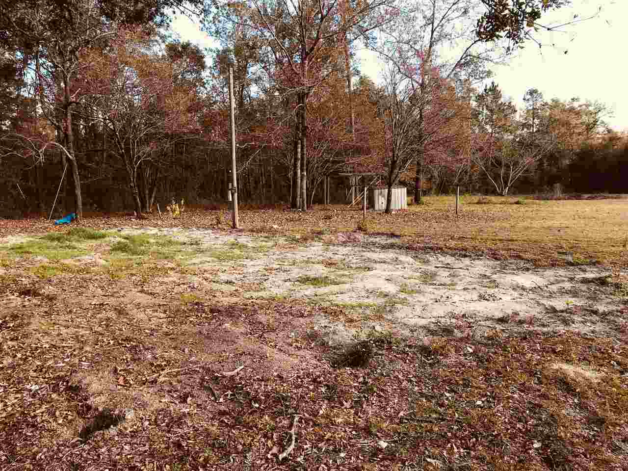959 Oak Ridge Road East, Unit 1 Woodville, FL 32305 - Photo 4 of 9