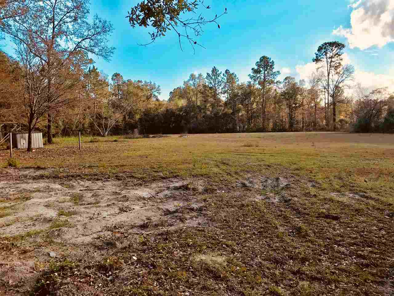 959 Oak Ridge Road East, Unit 1 Woodville, FL 32305 - Photo 5 of 9