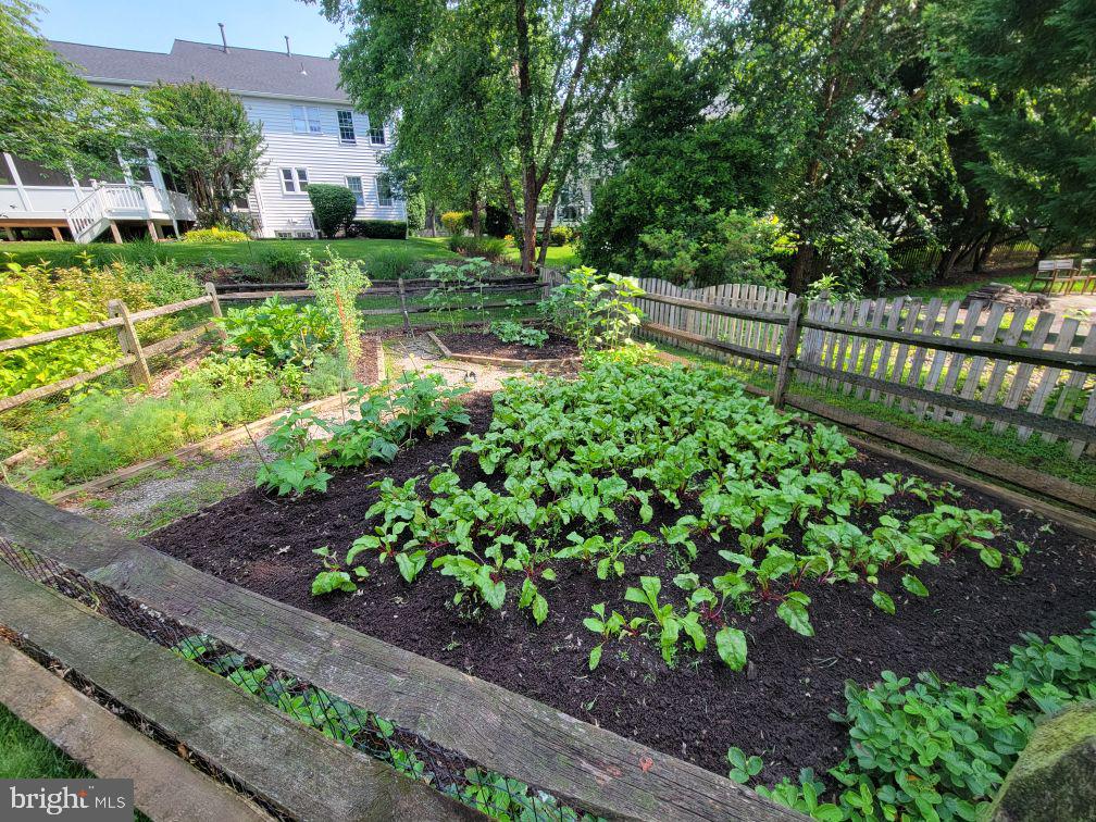 43331 Ritter Lane South Riding, VA 20152 - Photo 54 of 55 a view of a garden with a pathway