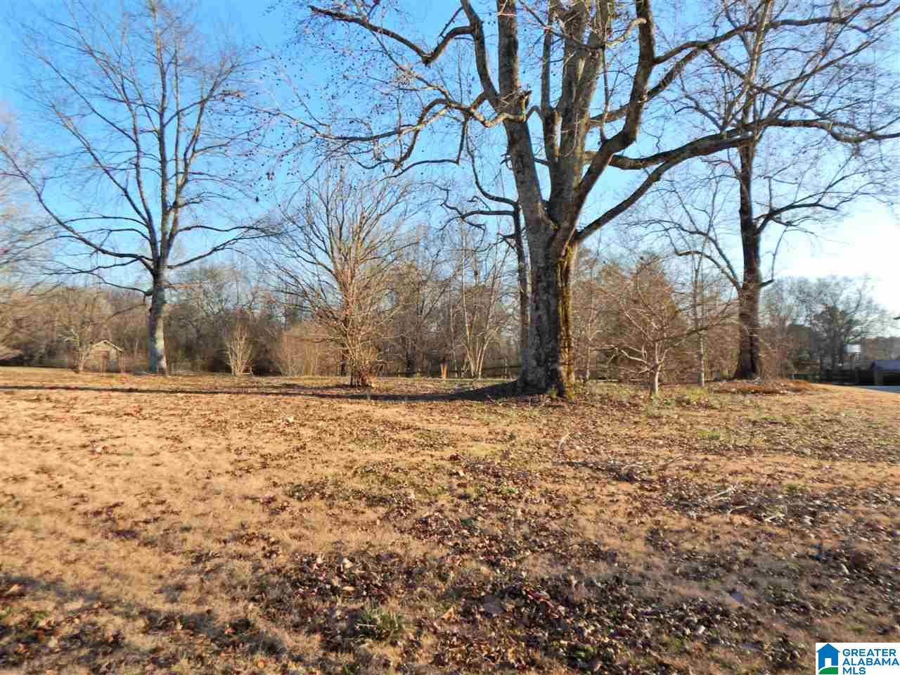 218 West Shugart Ridge Road, Unit 1 Gardendale, AL 35071 - Photo 1 of 3