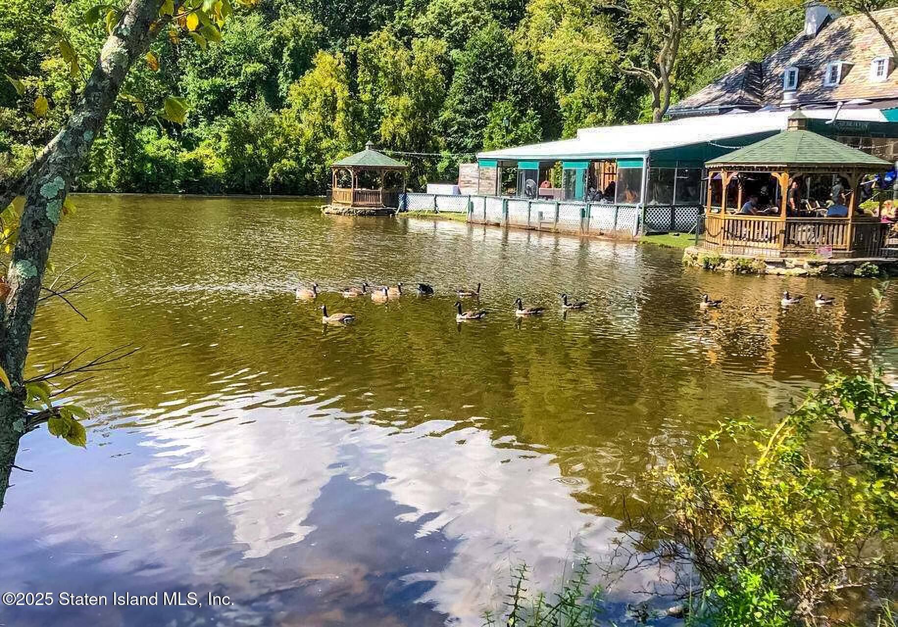 1000 Clove Road, Unit 6G Staten Island, NY 10301 - Photo 30 of 36 Views From Clove Lakes Park