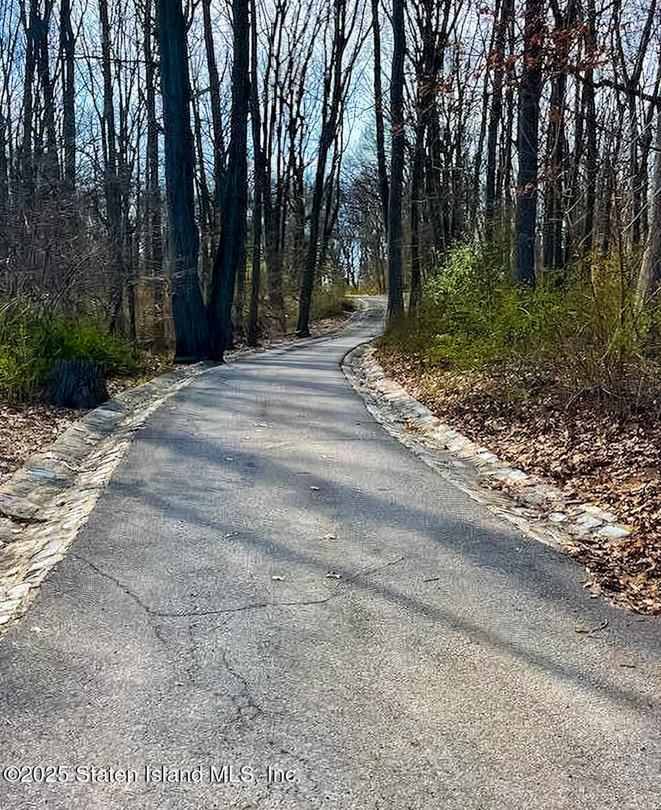 1000 Clove Road, Unit 6G Staten Island, NY 10301 - Photo 35 of 36 Views From Clove Lakes Park