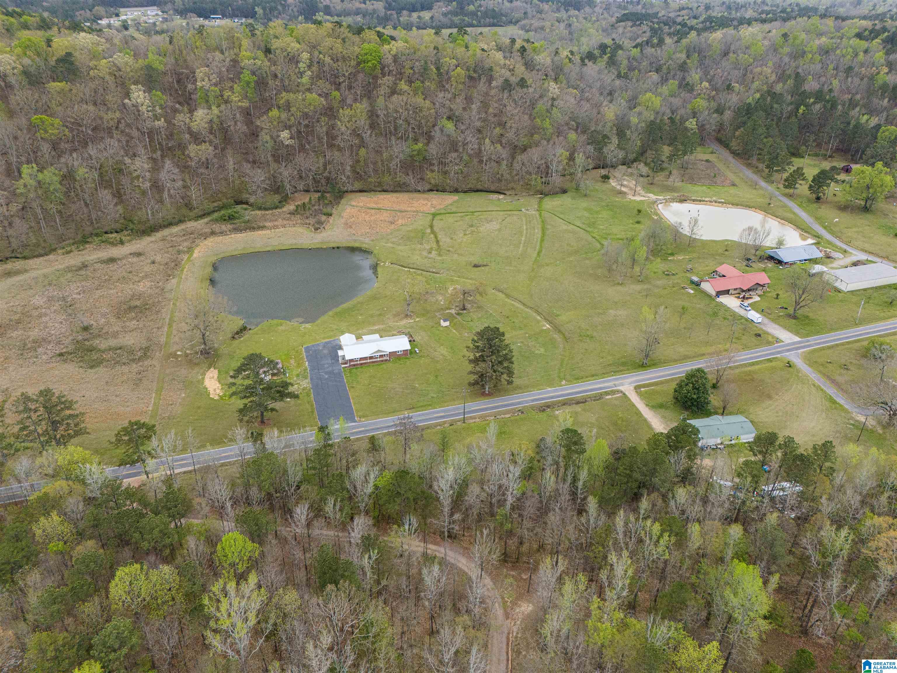 1502 Possum Trot Road Piedmont, AL 36272 - Photo 37 of 42