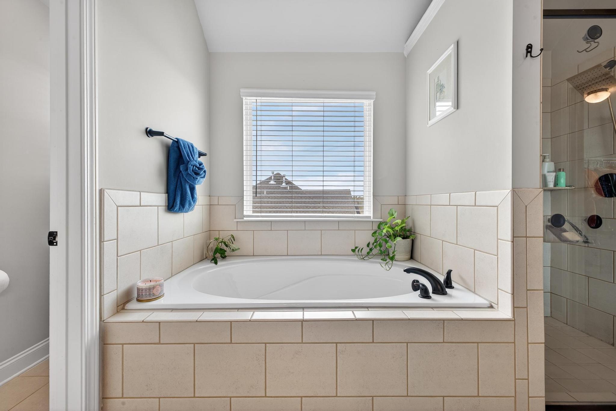 464 Equinox Loop Aiken, SC 29803 - Photo 36 of 44 IMG_5373