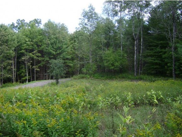 0 Garvin Hill Road Woodstock, VT 05091 - Photo 1 of 1 Gallery Image 1