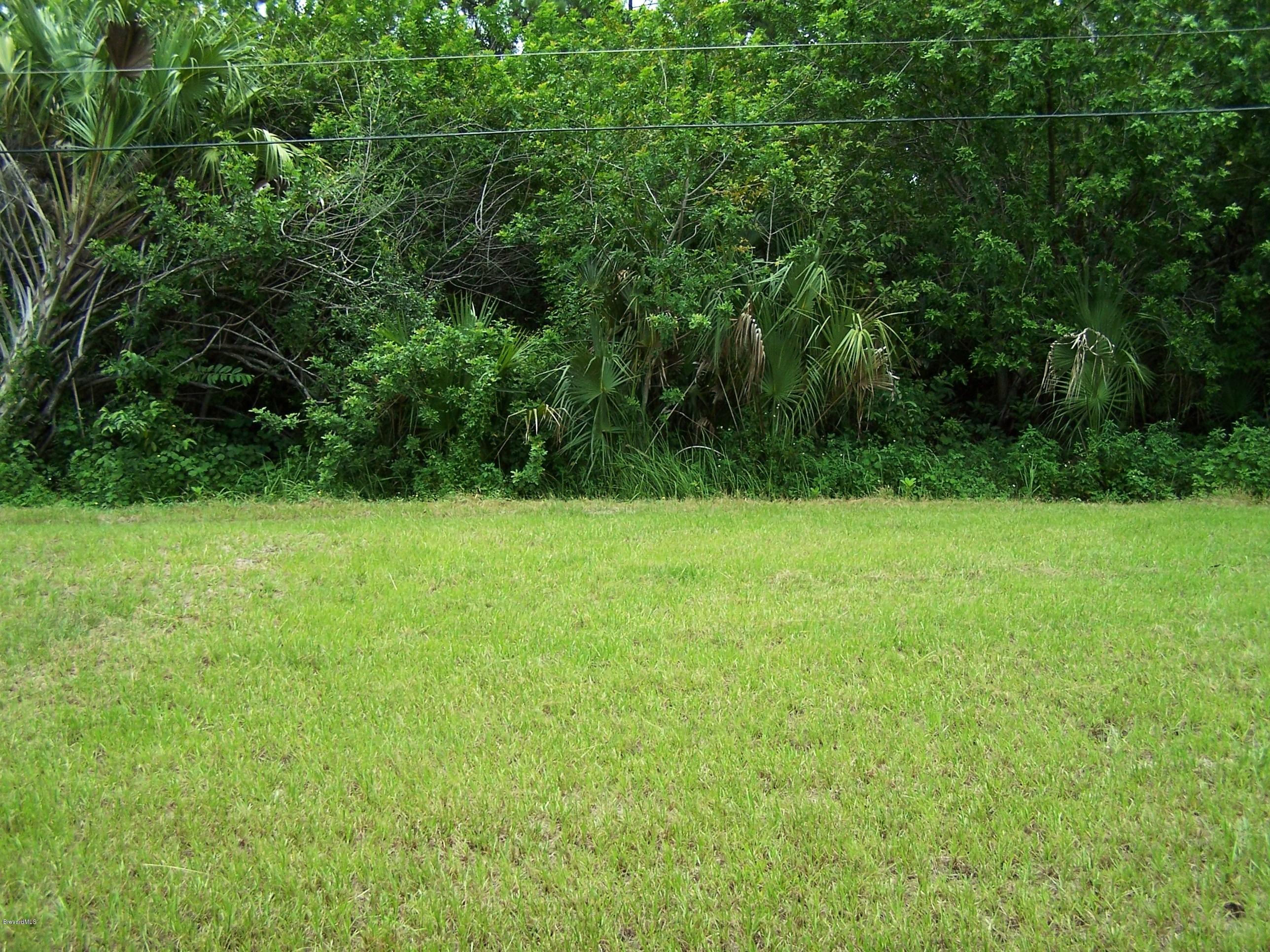 821 Degroodt Road Southwest Palm Bay, FL 32908 - Photo 9 of 10 821 DeGroodt Private in the back
