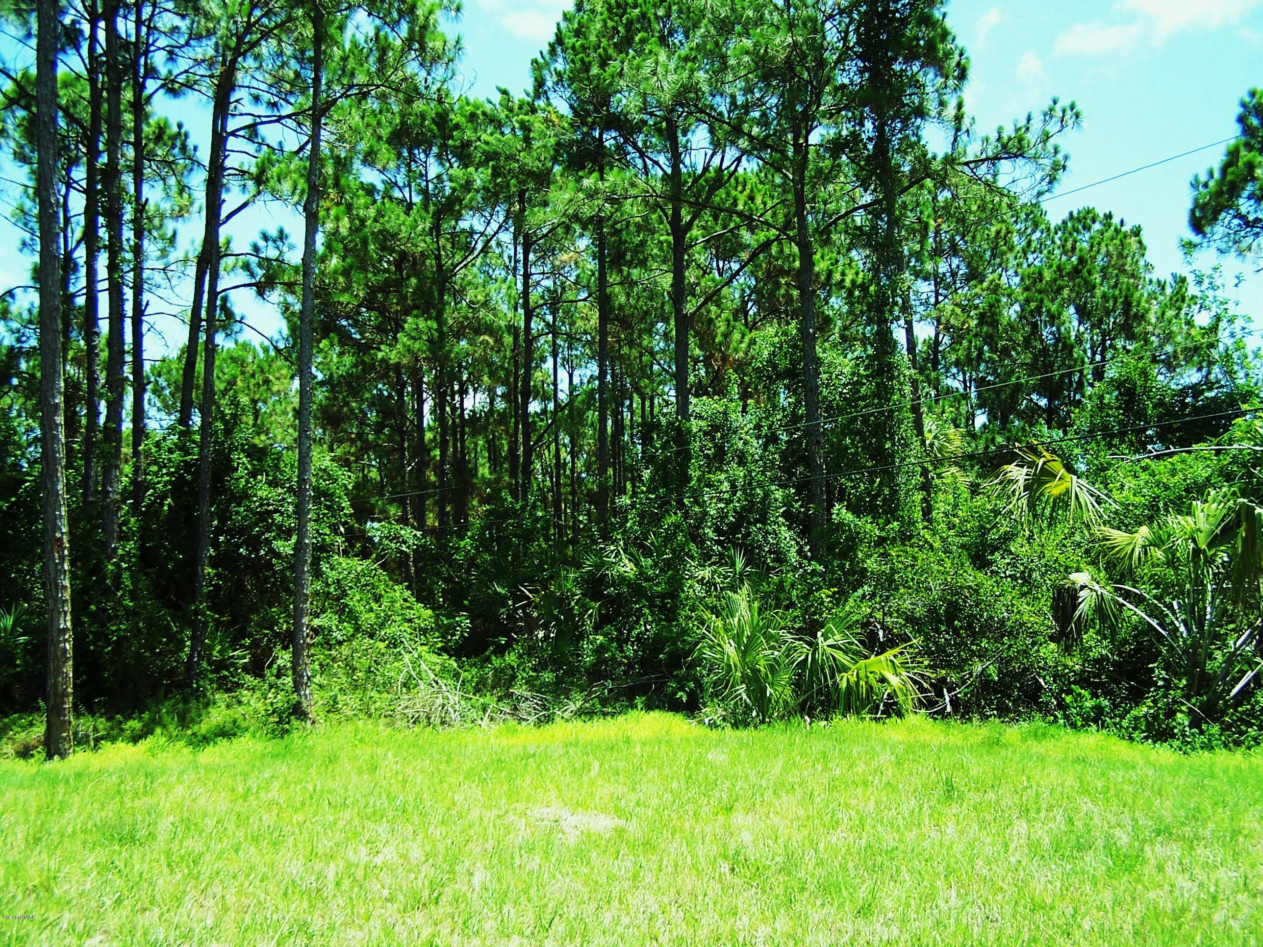 821 Degroodt Road Southwest Palm Bay, FL 32908 - Photo 10 of 10 821 DeGroodt Side View