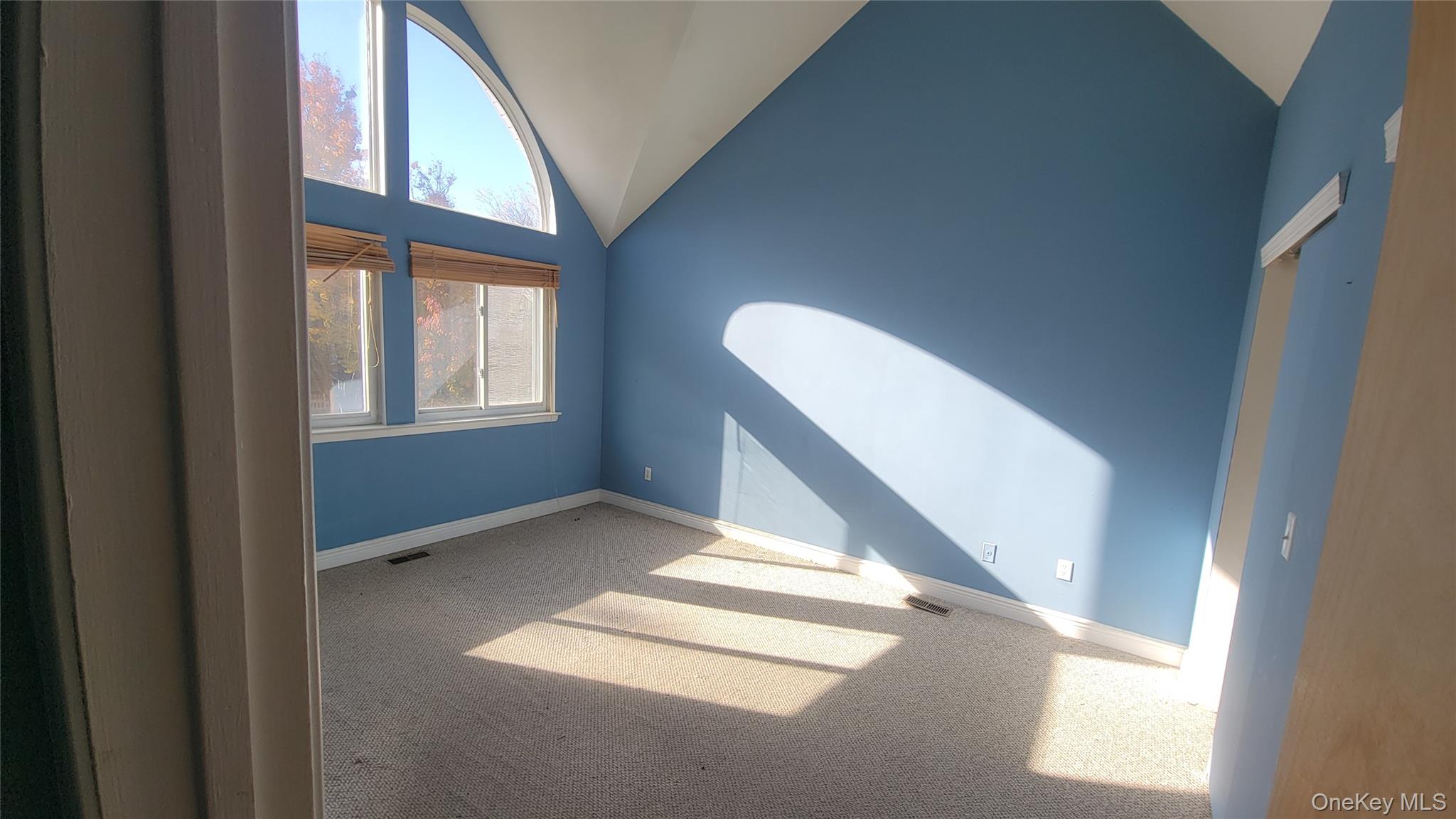 35 Gibbs Road, Unit 22 Coram, NY 11727 - Photo 13 of 20 Unfurnished room with carpet and high vaulted ceiling