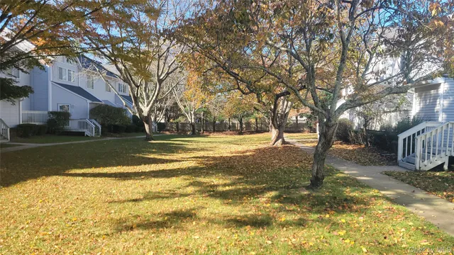a view of yard with tree