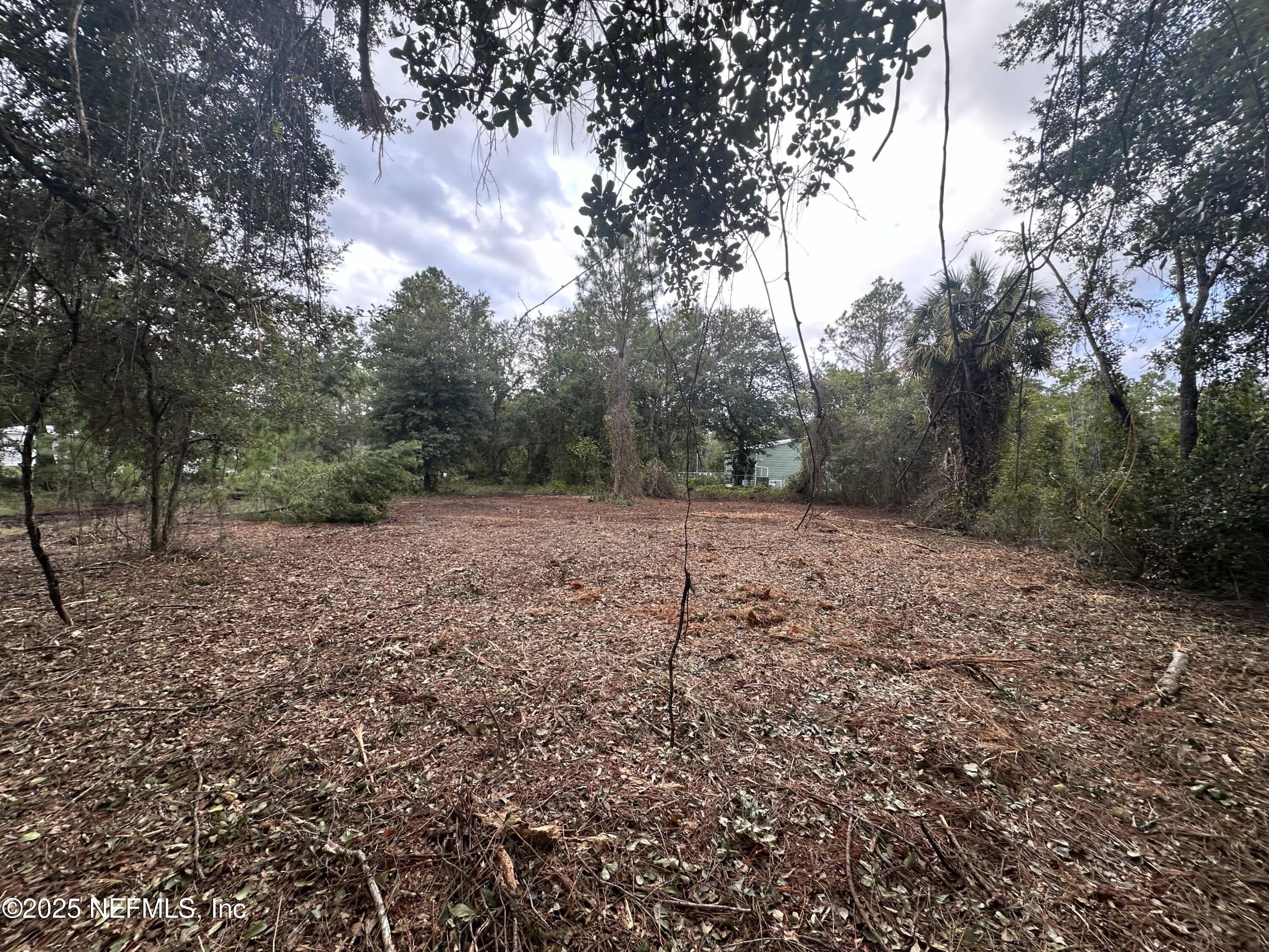 323 Carteret Road Georgetown, FL 32139 - Photo 2 of 7 beyc68425080e038f