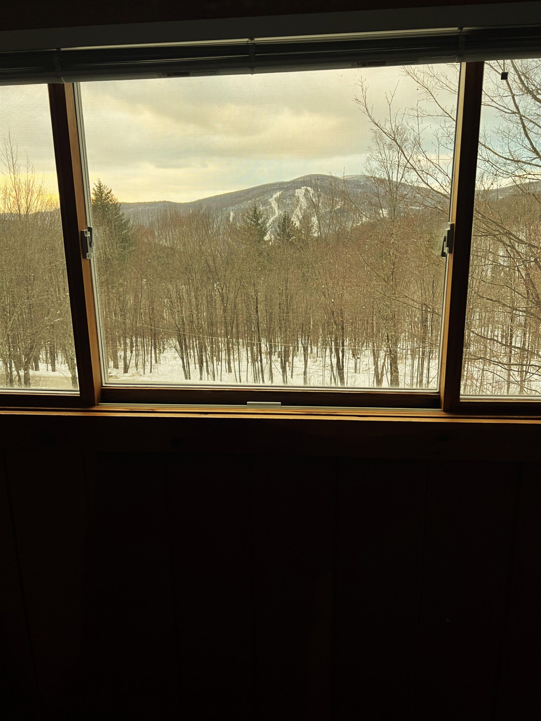 832 Grand View Lodge Road, Unit D Plymouth, VT 05056 - Photo 2 of 14