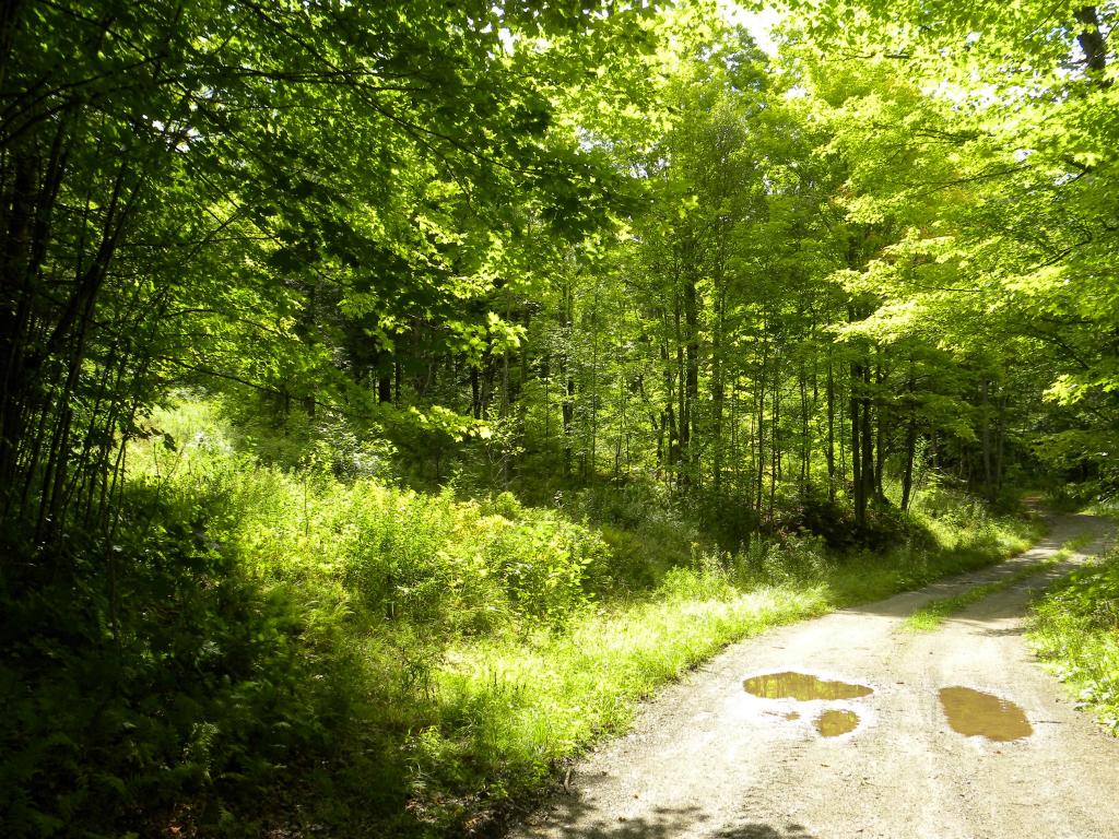 - Reservoir Road Newport, VT 05855 - Photo 3 of 15 Gallery Image 3