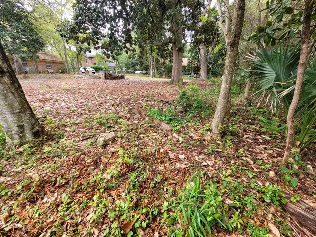 a view of outdoor space and trees