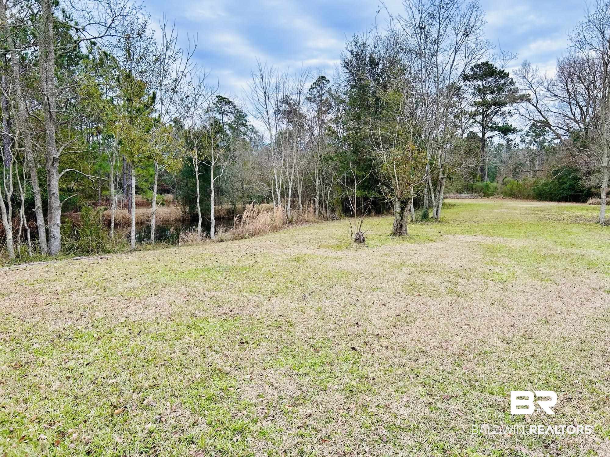 13551 Gaston Loop Road Grand Bay, AL 36541 - Photo 10 of 15 View of yard