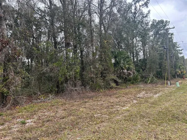a view of a field with trees in the background