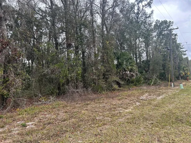 a view of a field with trees in the background