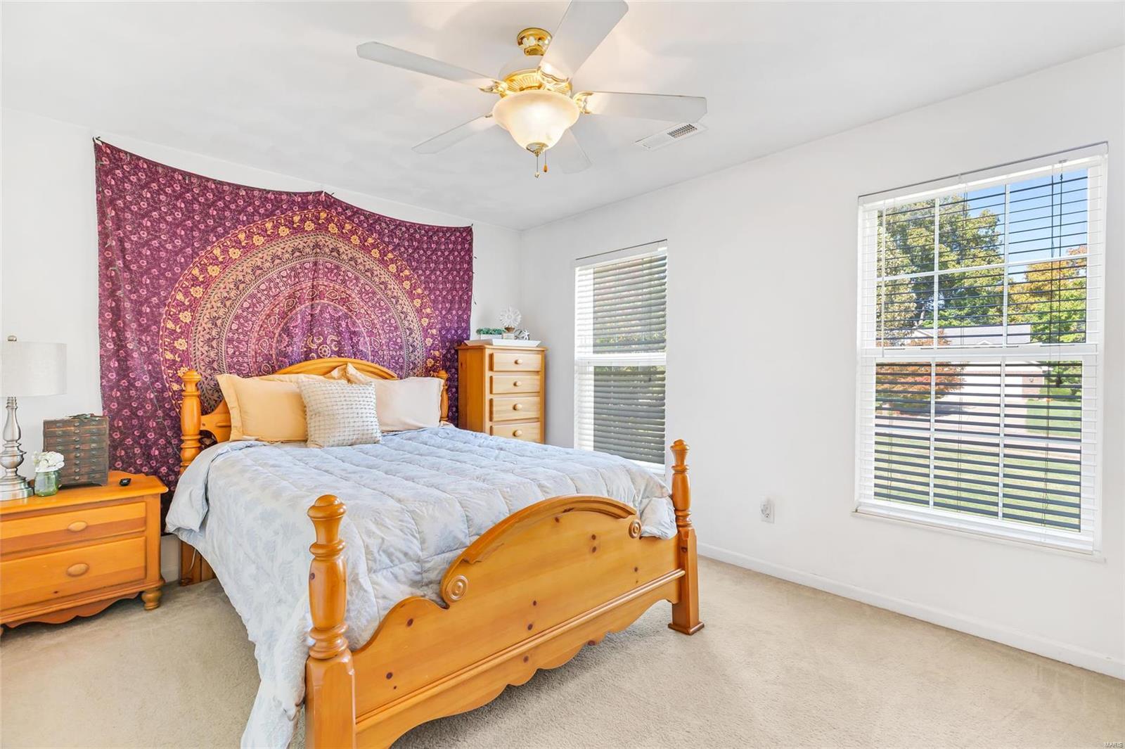 384 North Ridge Road Columbia, IL 62236 - Photo 19 of 55 Gallery Image 19