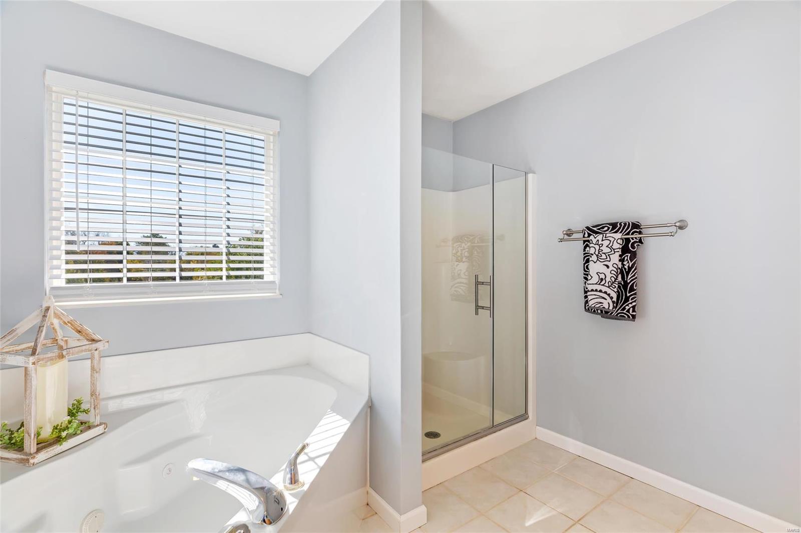 384 North Ridge Road Columbia, IL 62236 - Photo 31 of 55 Gallery Image 31