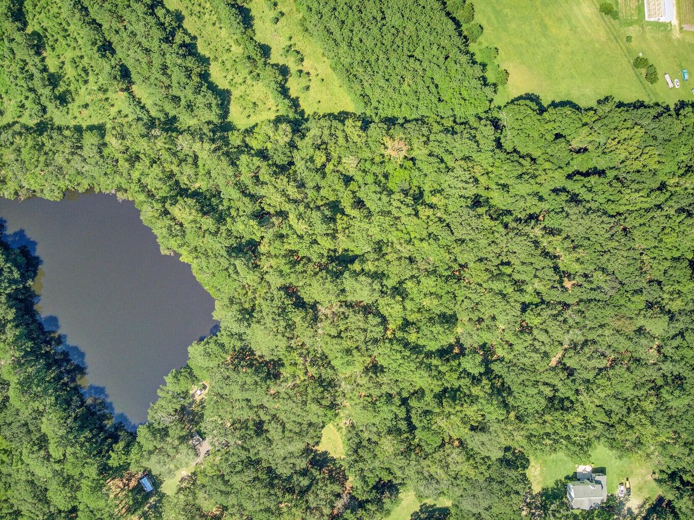 4009 Poppys Point Johns Island, SC 29455 - Photo 6 of 22 01_1_mls