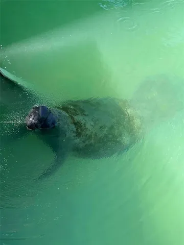 $18,000 | 124 Indies Drive South, Marathon, FL 33050