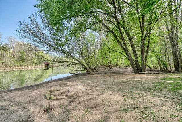 a view of backyard with large trees