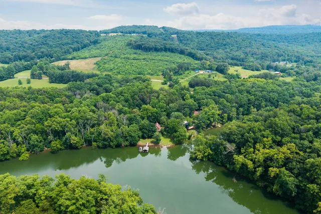 an aerial view of residential houses with outdoor space and trees around