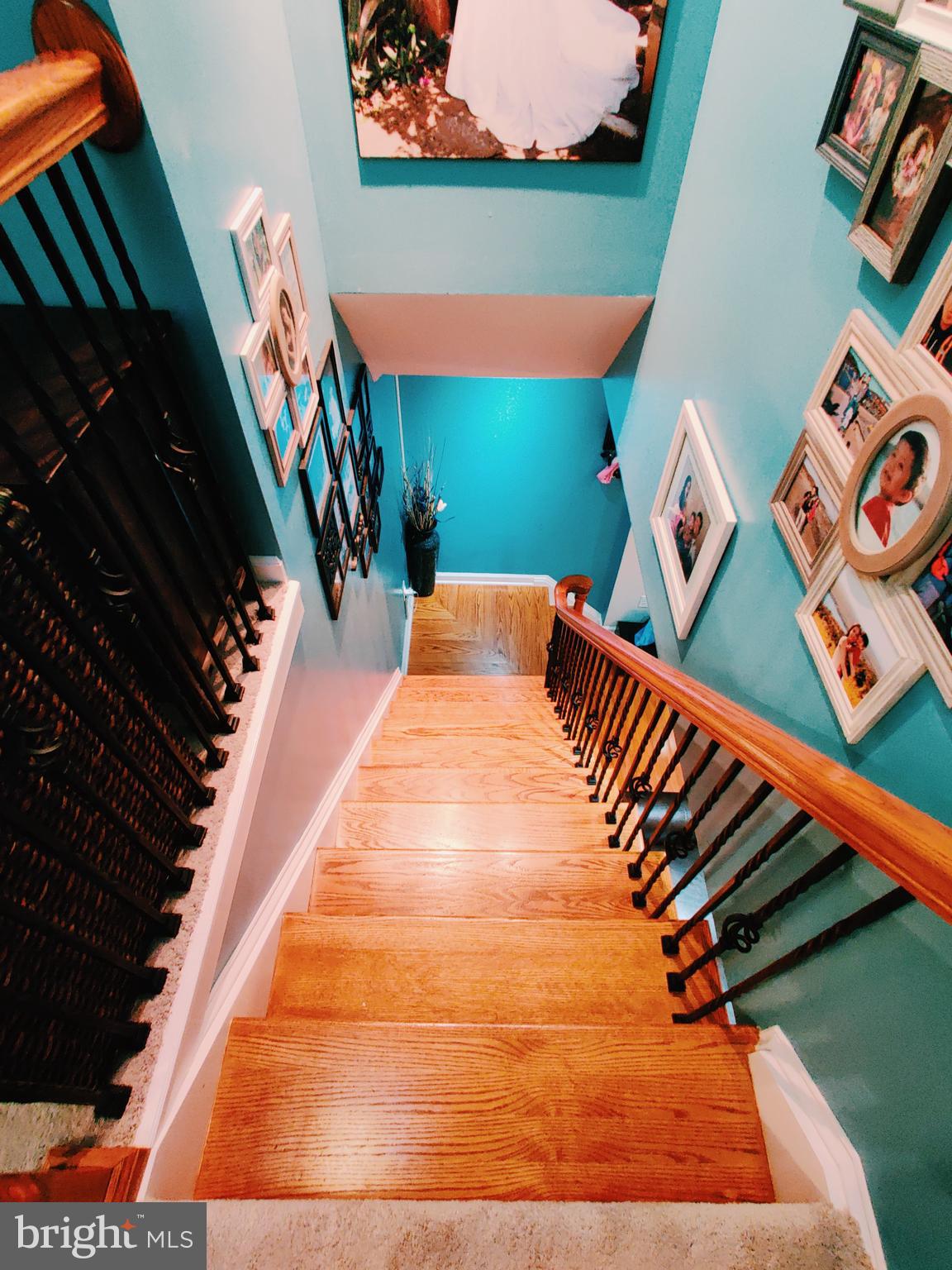 12313 Wyndom Road Philadelphia, PA 19154 - Photo 39 of 52 Stairs-01
