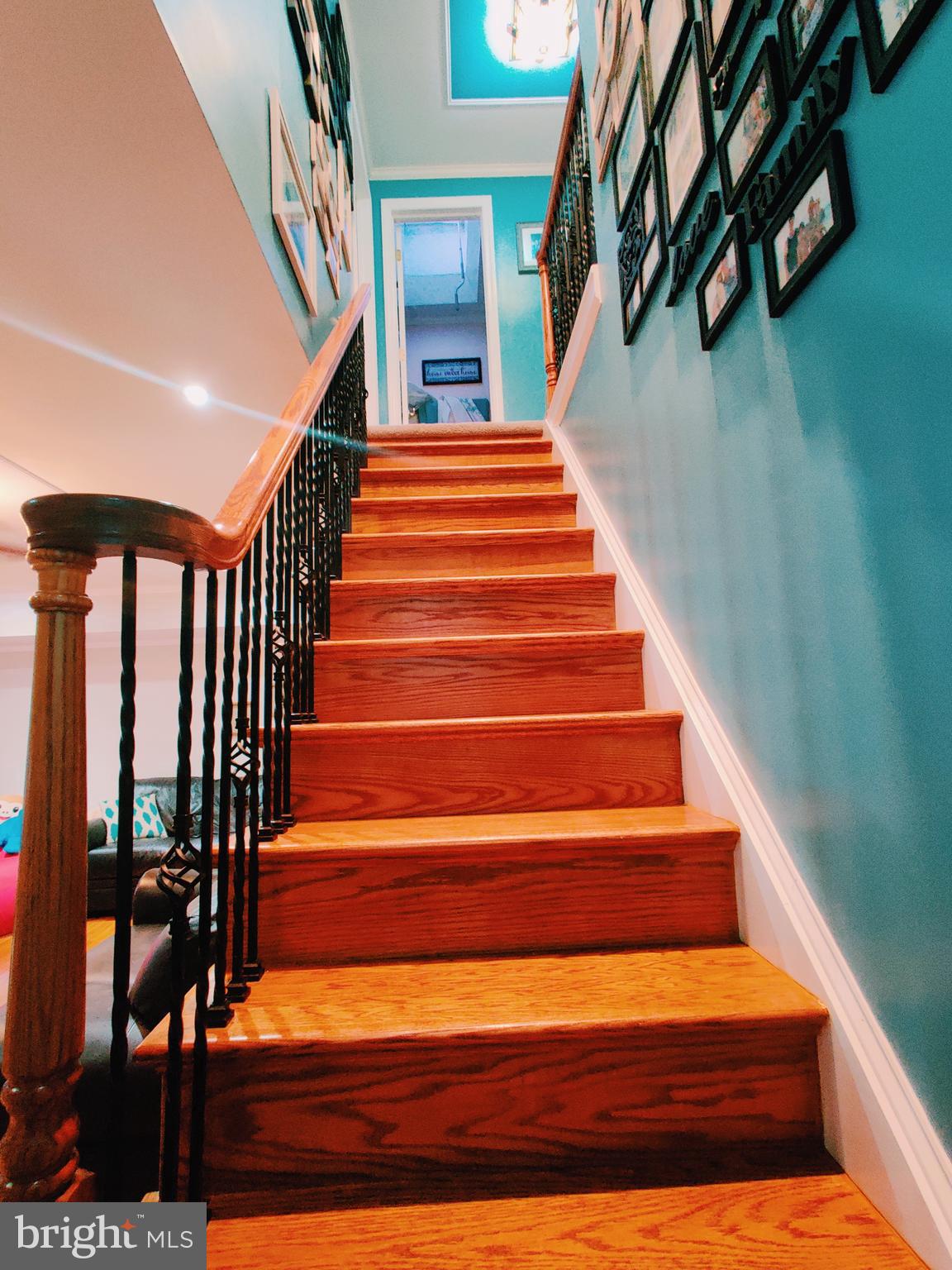 12313 Wyndom Road Philadelphia, PA 19154 - Photo 40 of 52 Stairs-02
