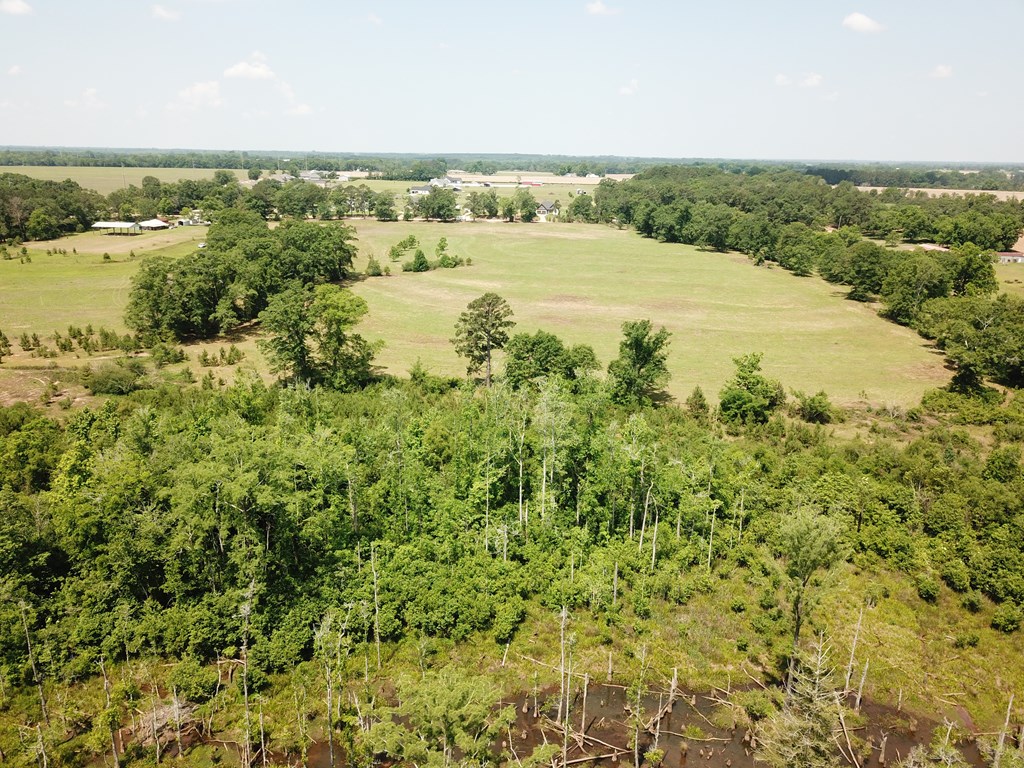 4.7-acres Lot 3 4.7-acres Road Fort Rucker, AL 36362 - Photo 3 of 5