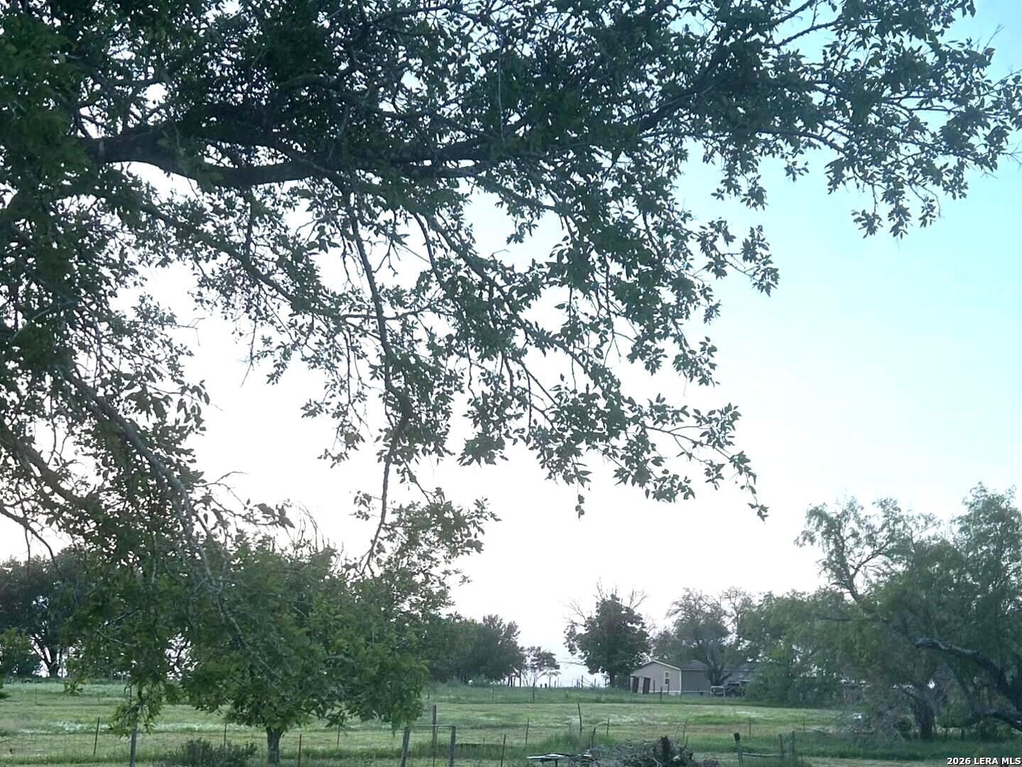 1460 Sandy Elm Road La Vernia, TX 78121 - Photo 21 of 25