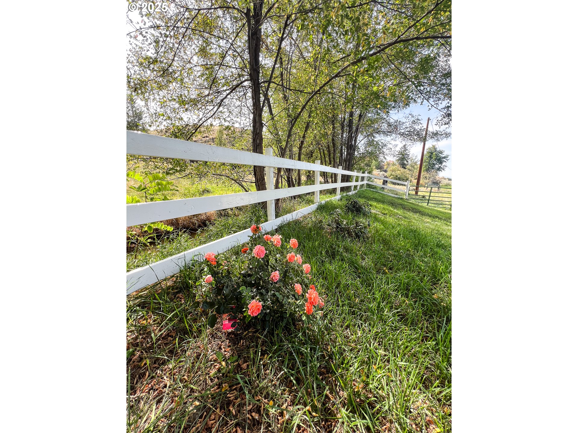 59920 Highway 26 John Day, OR 97845 - Photo 21 of 35 a view of a yard in front of the house
