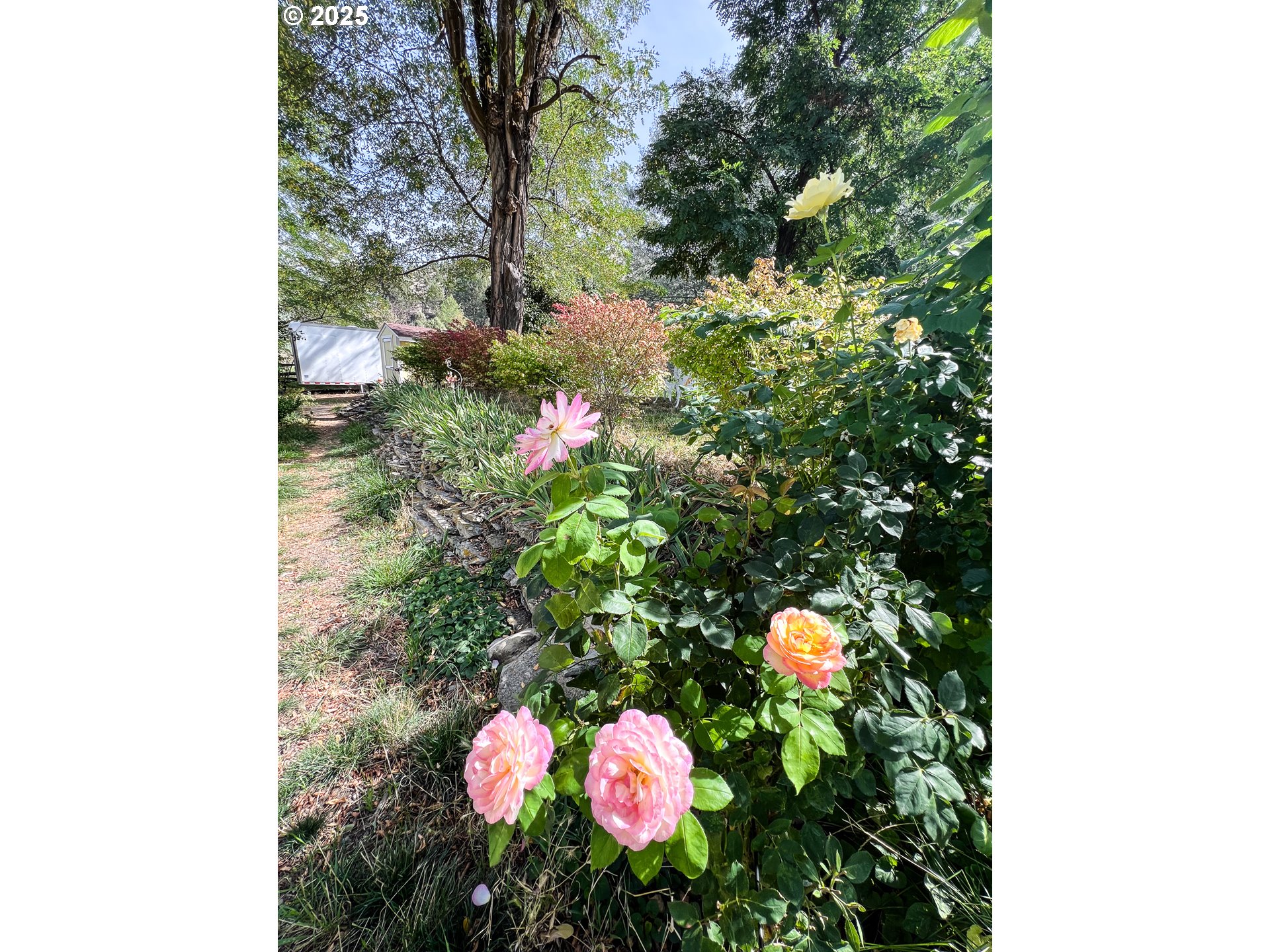 59920 Highway 26 John Day, OR 97845 - Photo 22 of 35