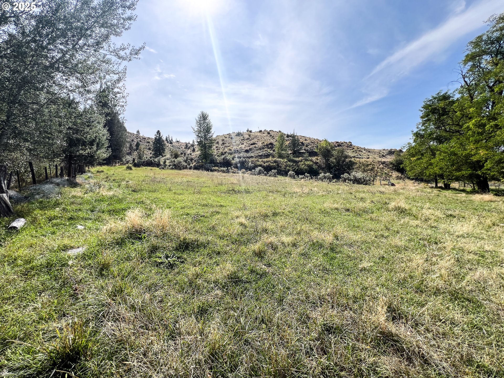 59920 Highway 26 John Day, OR 97845 - Photo 26 of 35 a view of a field with an trees