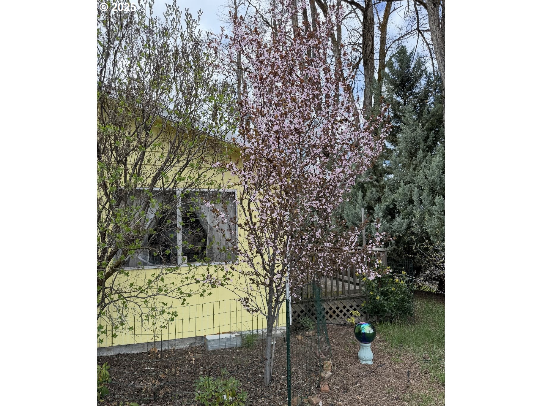 59920 Highway 26 John Day, OR 97845 - Photo 31 of 35 a view of a yard